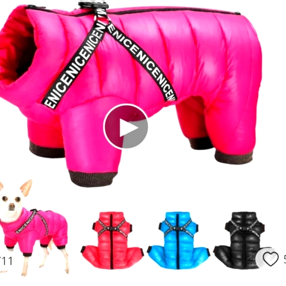 Dog jacket - Picture 1 of 2